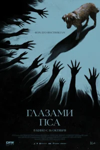 Глазами пса смотреть онлайн
