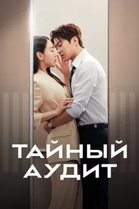  Тайный аудит смотреть онлайн